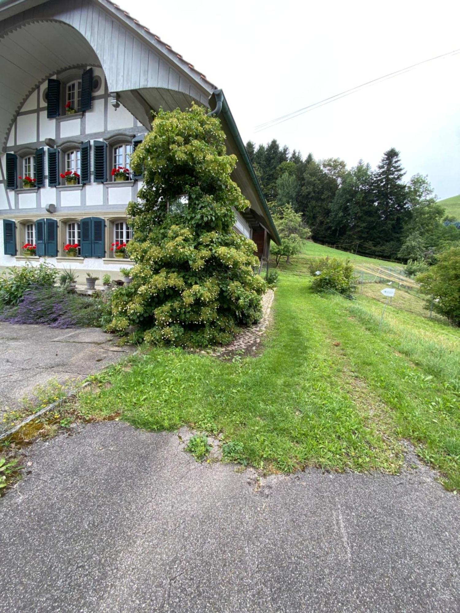 Oberburg B&B Tannen124 מראה חיצוני תמונה